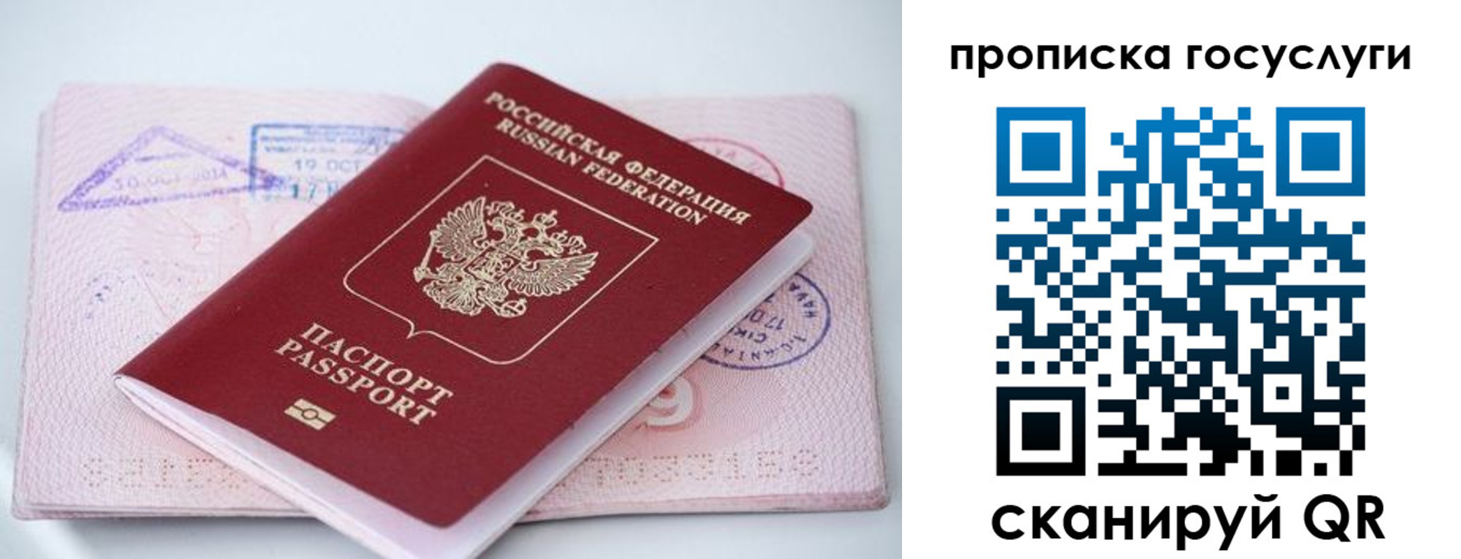 прописка законно в Кораблино